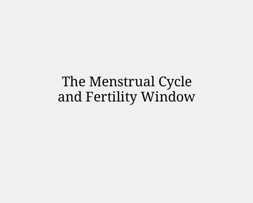 The Menstrual Cycle and Fertility Window