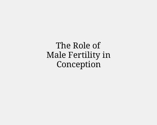 The Role of Male Fertility in Conception