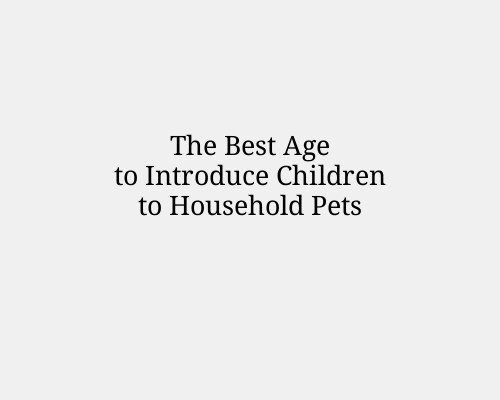 The Best Age to Introduce Children to Household Pets