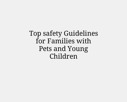 Top safety Guidelines for Families with Pets and Young Children