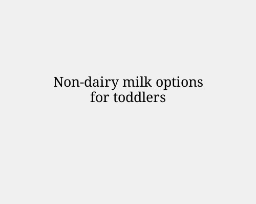 Non-dairy milk options for toddlers