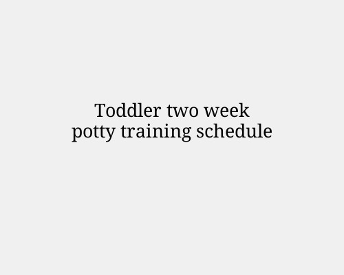 Toddler two week potty training schedule